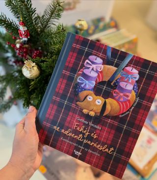 Szeretnénk nektek bemutatni egy csodás történetet a @wonderland_alapitvany -tól. 🎄 Bár, Fahéj története nálunk is még csak...